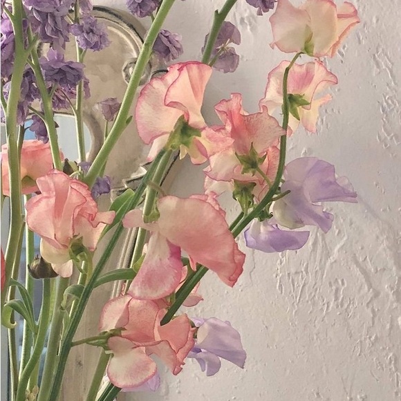 Meet your Posher, Sunghoon - Picture 1 of 1